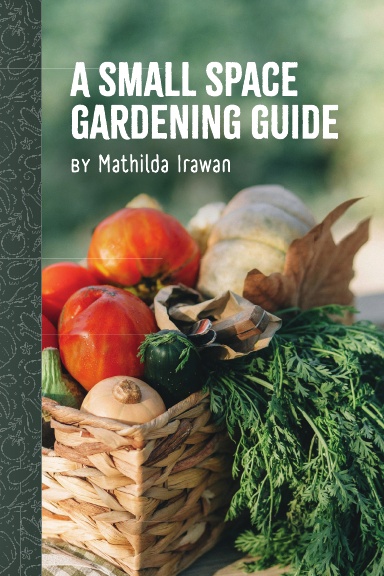 A Small Space Gardening Guide