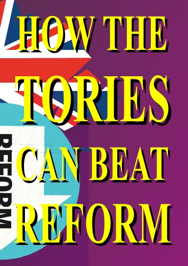 HOW THE TORIES CAN BEAT REFORM
