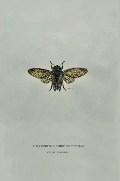 The Chorus of Chirping Cicadas