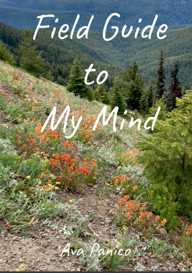 Field Guide to My Mind