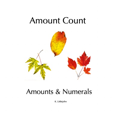 Amount Count  Amounts & Numerals
