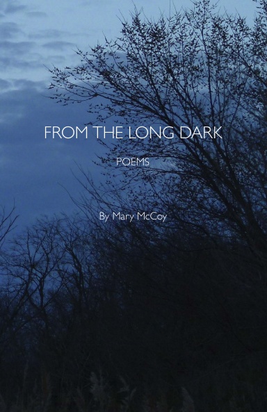 From the Long Dark