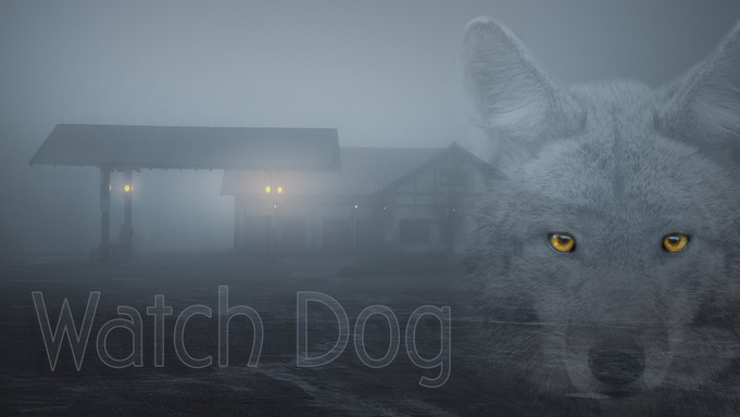 Watch Dog