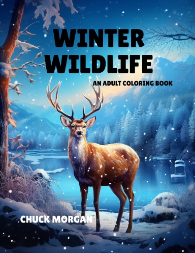 Winter Wildlife