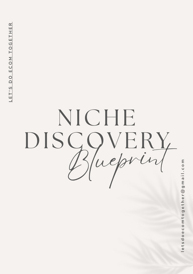 Niche Discovery Blueprint
