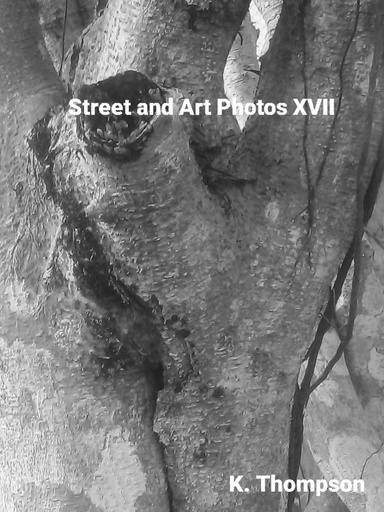 Street and Art Photos XVII