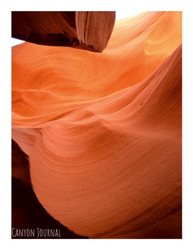 Canyon 50
