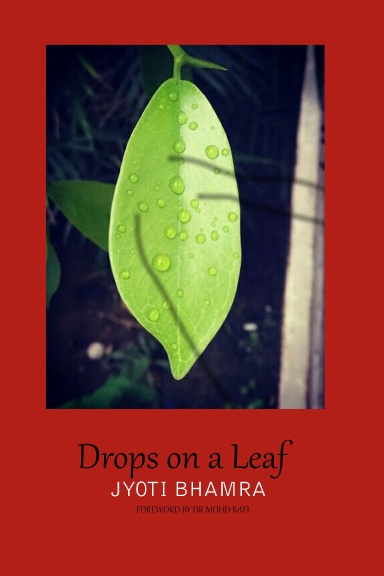 Drops on a Leaf