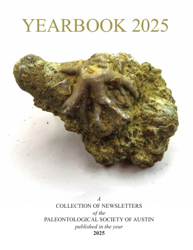 Yearbook 2025