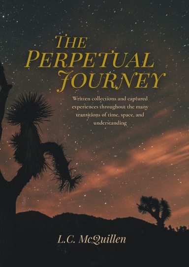 The Perpetual Journey