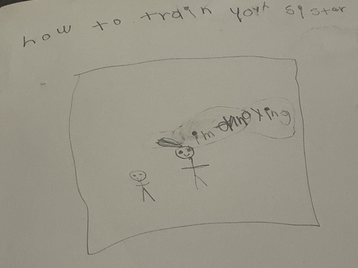 how to train your sister