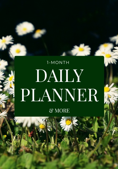 1 MONTH DAILY PLANNER & MORE