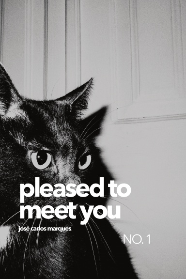 Pleased to Meet You NO. 1