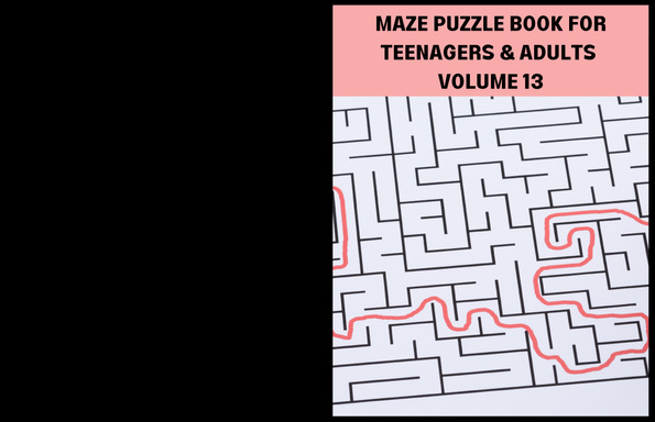 MAZE PUZZLE BOOK FOR TEENAGERS AND ADULTS  VOLUME 13