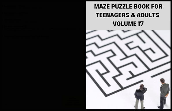 MAZE PUZZLE BOOK FOR TEENAGERS & ADULTS VOLUME 17