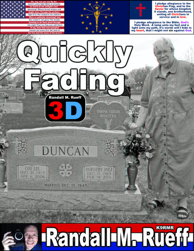 Quickly Fading (3D)