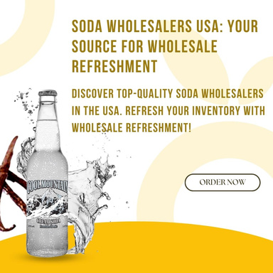 Quenching Chicago’s Thirst: Exploring the Soda Distribution Network by Cool Mountain