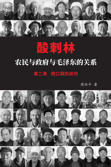 酸刺林: 农民与政府与毛泽东的关系（二卷）