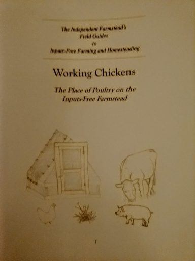 Working chickens