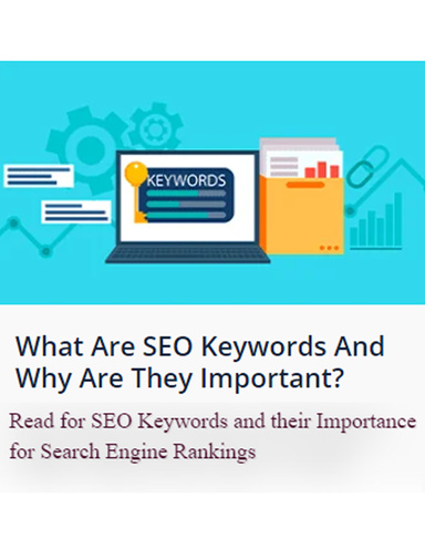 What Are SEO Keywords And Why Are They Important