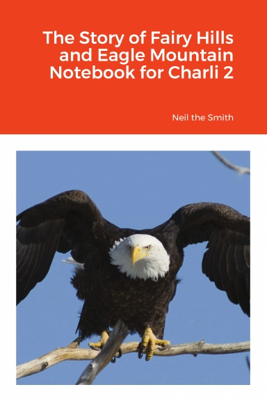 The Story of Fairy Hills and Eagle Mountain Notebook for Charli 2
