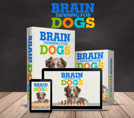 BRAIN TRAINING FOR DOG