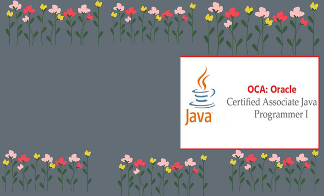 OCA : Oracle Certification Associate Java Programmer I