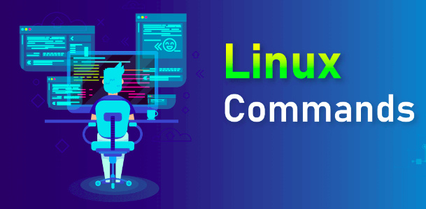 Beginner's Guide To Linux Commands