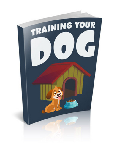 Training your Dog