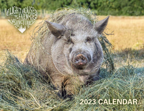 Lighthouse Farm Sanctuary 2023 Calendar