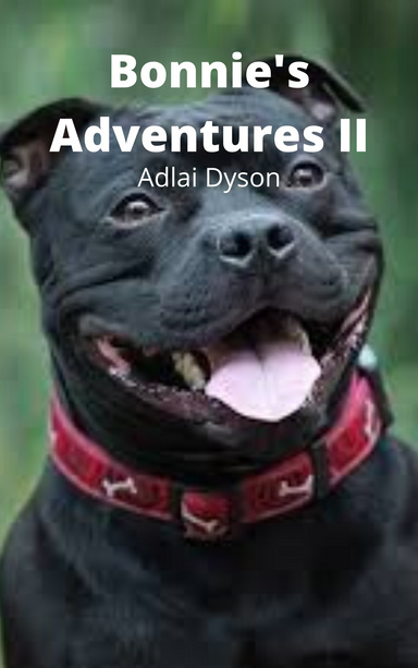 Bonnie's Adventures 2
