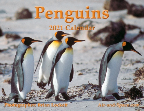 Penguins, 2021 Calendar