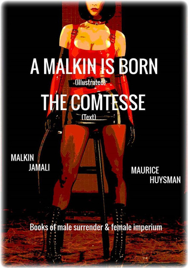 A Malkin is Born (Illustrated) - The Comtesse (Text)