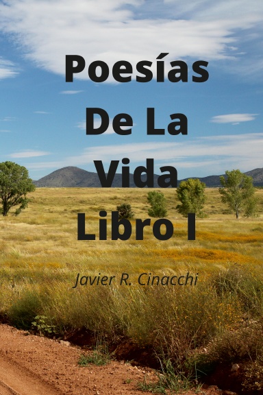 Poesías de la Vida, Libro I