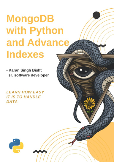 MongoDB with python and advance indexes