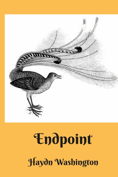 Endpoint