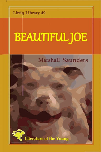 Beautiful Joe