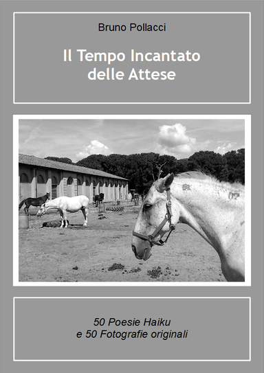 IL TEMPO INCANTATO DELLE ATTESE