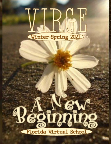 FLVS Virge Spring 2021