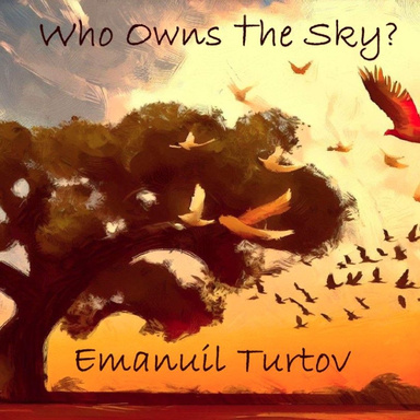 Who Owns The Sky