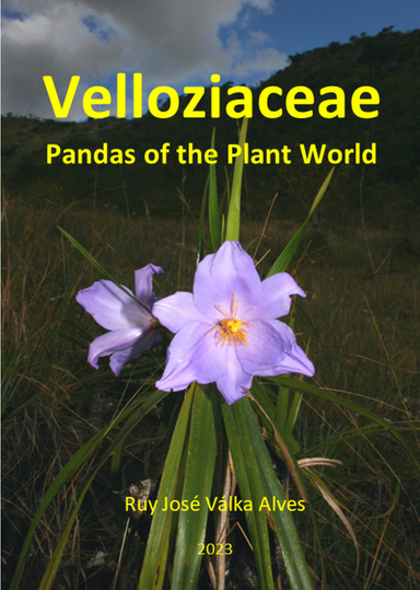 Velloziaceae
