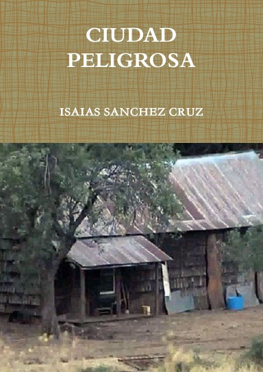 CIUDAD PELIGROSA