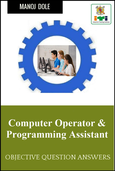 Computer Operator & Programming Assistant