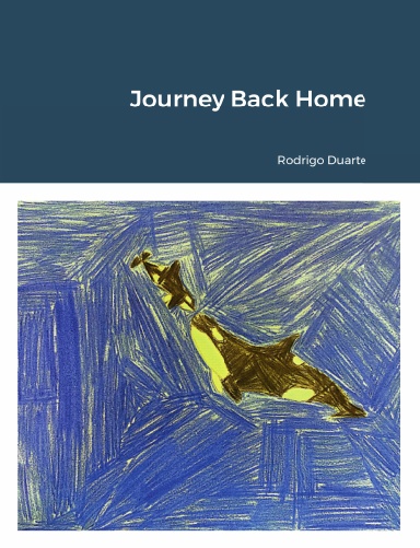 Journey Back Home