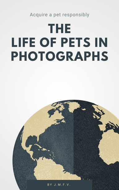 The life of pets in photographs