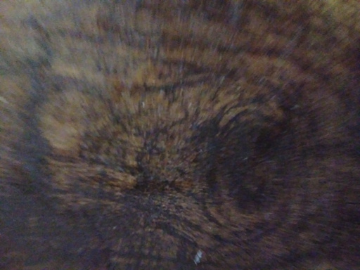 CiRvT-K0-xL-Vb, Aescandatius