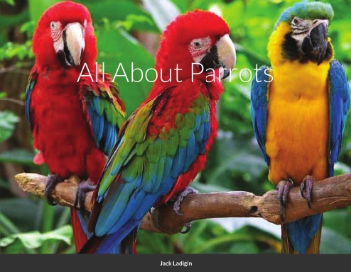 Parrots