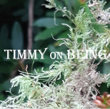 Timmy On Being