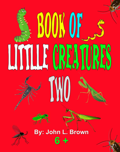 Book Of Little Creatures Two