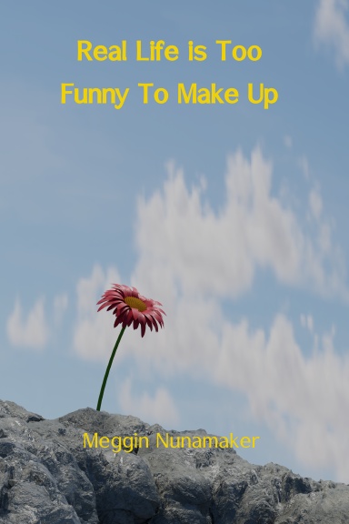 Real Life is Too Funny to Make Up